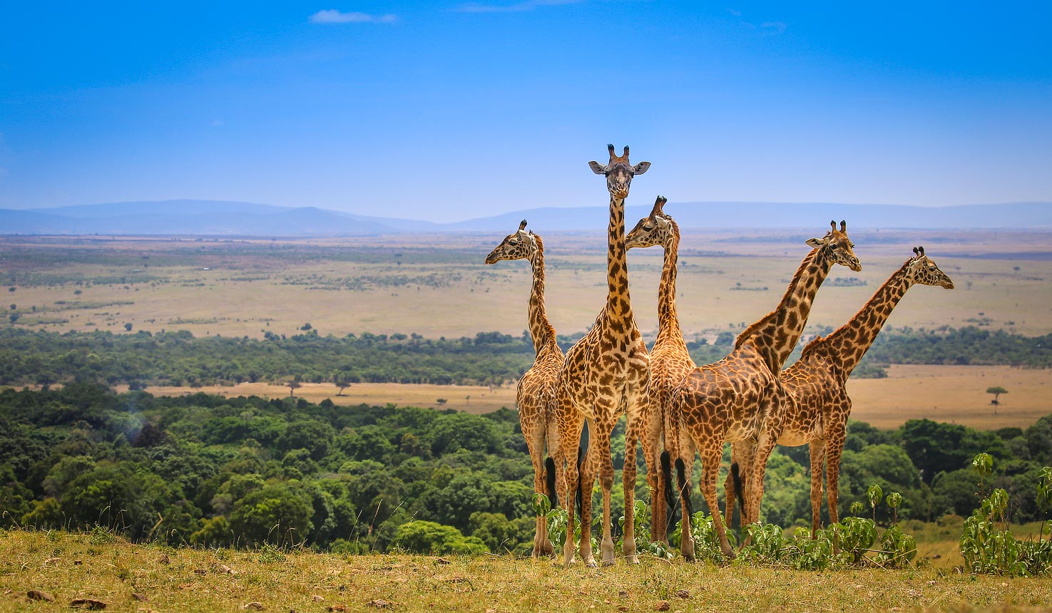 Kenya Safari Destinations