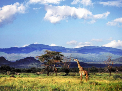 Parc-National-de-Chyulu-Hills