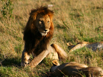 Parc National de Kora