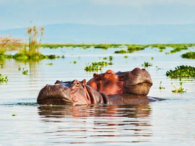 Parc national de sibiloi