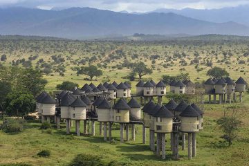 4 Days Safari from Nairobi to Amboseli, Taita Saltlick, Tsavo East with chacal