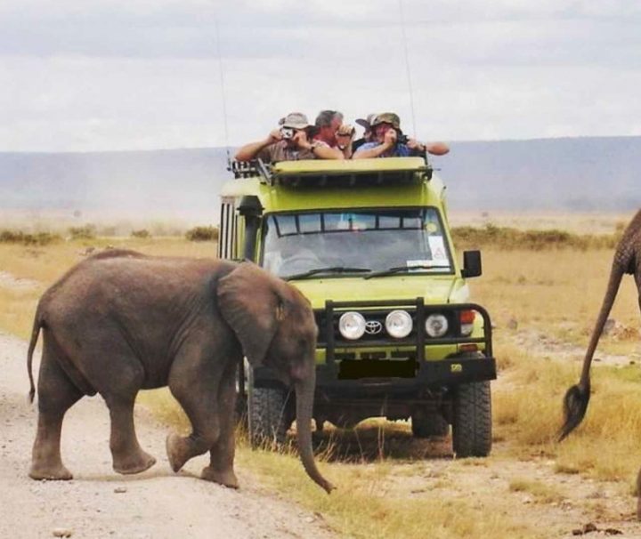 Safari-de-4-jours-à-AmbOseli,-Taita-Saltlick-et-Tsavo-Est