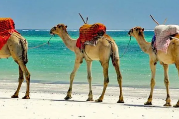 Mombasa day - trip