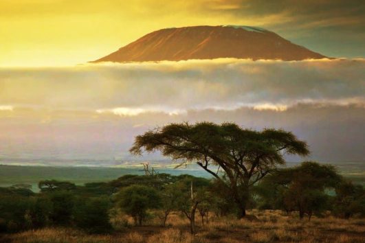 11 Day Kenya Safari From Nairobi to Wild North, Great Rift Valley & Amboseli