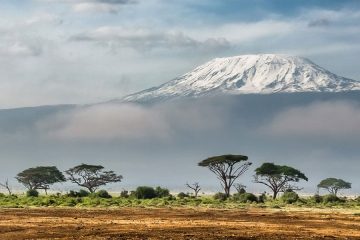 2 Days Flying Safari to Amboseli from Nairobi