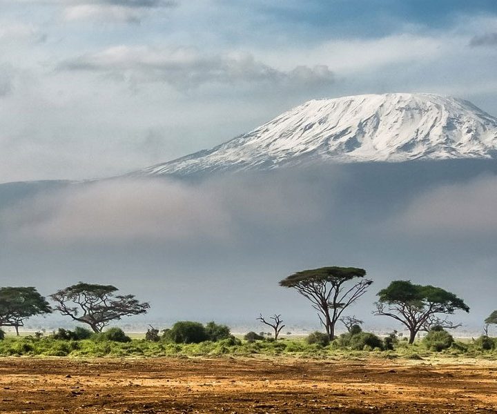 2 Days Flying Safari to Amboseli from Nairobi