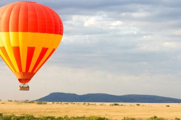 2 Days Flying Safari to Masai Mara from Nairobi