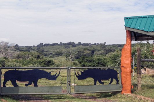 3 Day Safari to Aberdare National Park from Nairobi