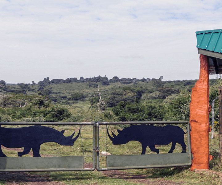 3 Day Safari to Aberdare National Park from Nairobi