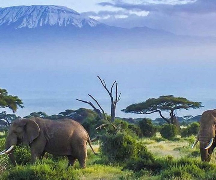 3 Days Safari from Nairobi to Mombasa