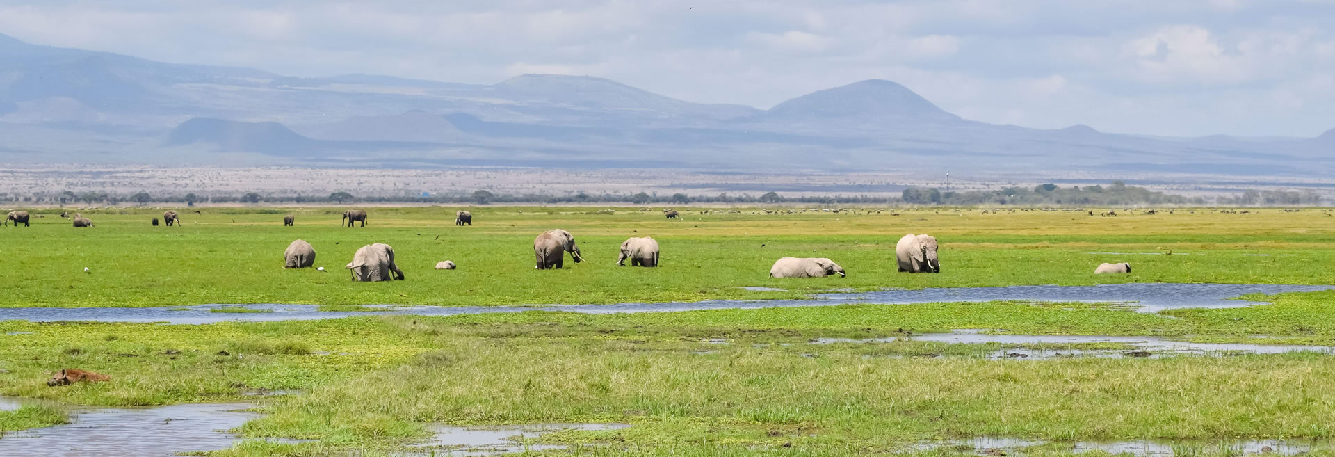 3 Days Safari from Nairobi to Mombasa