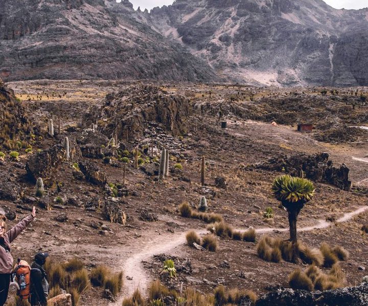 7 -Days Mount Kenya -Rock Climbing