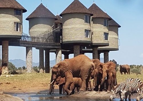 3 Days Tsavo East and Taita Saltlick from Mombasa