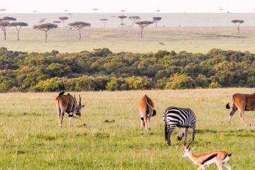 Loita Masai Expedition & Kenya National Parks Safari (13 Days / 12 Nights)