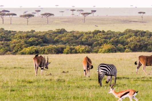 12 Days Loita Expedition Safari Kenya