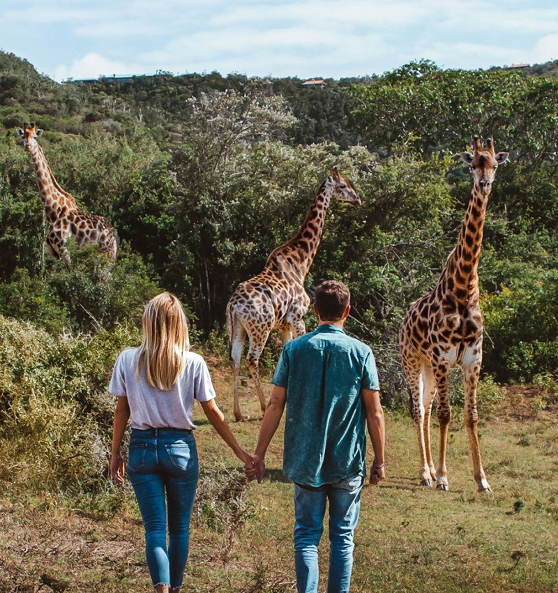 7 Day Kenya Safari Itinerary for First Time Travellers