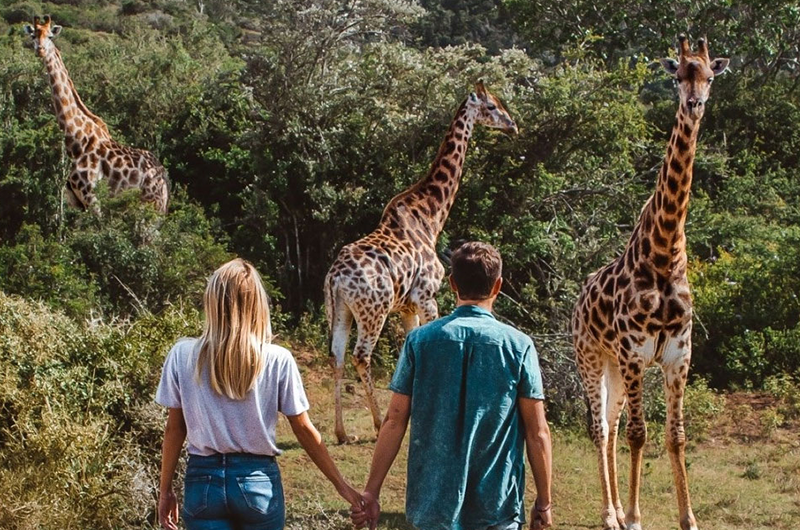 7 Day Kenya Safari Itinerary for First Time Travellers