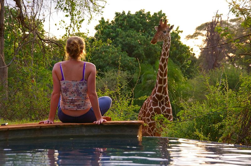 Best Kenya Safari Tours for Solo Travelers