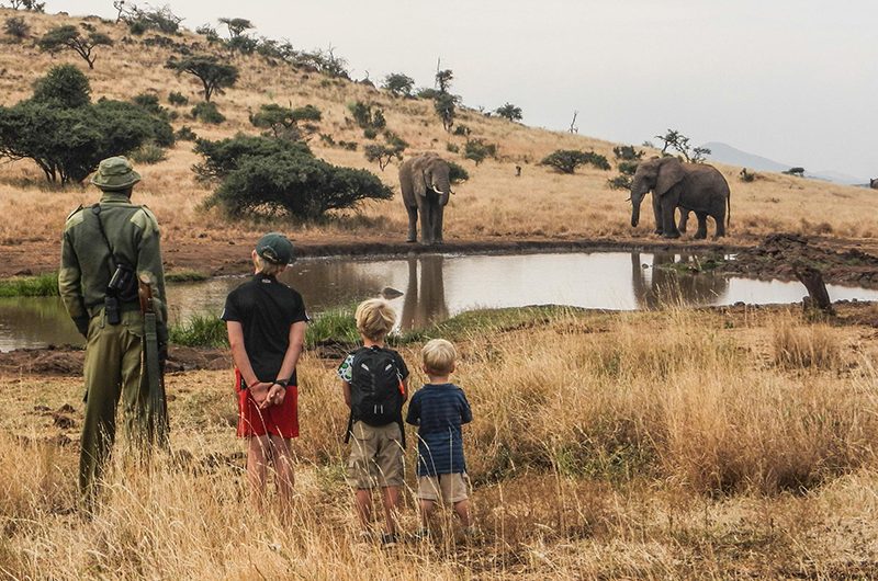 best-safari-activities-beyond-game-drives