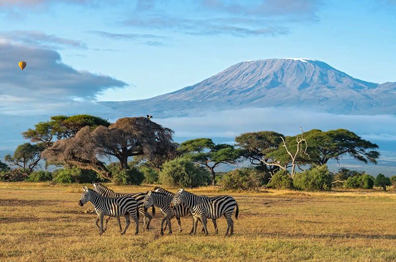 Best Time to Visit Kenya for an Unforgettable Safari
