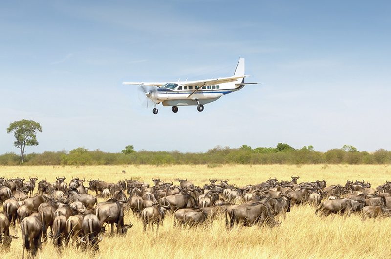 fly-in-safaris-in-kenya-save-time-&-see-more