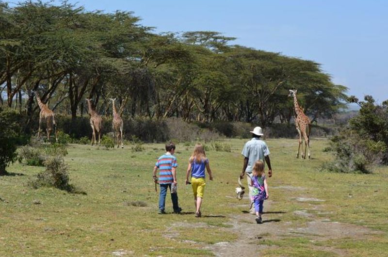 lake-naivasha-&-crescent-island-a-walking-safari