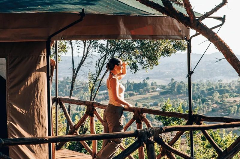 Luxury vs Budget Kenya Safari: Which Suits You?