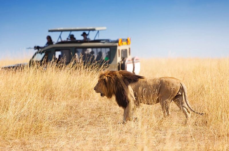 tips-for-a-safe-&-healthy-safari-in-kenya