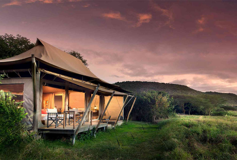 Top Kenya Safari Lodges & Camps for 2025