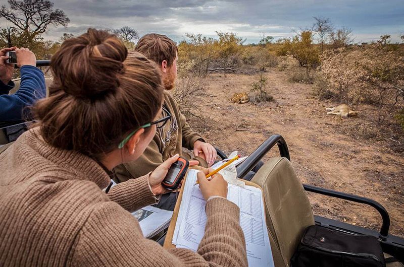 wildlife-conservation-efforts-you-can-support -in-kenya