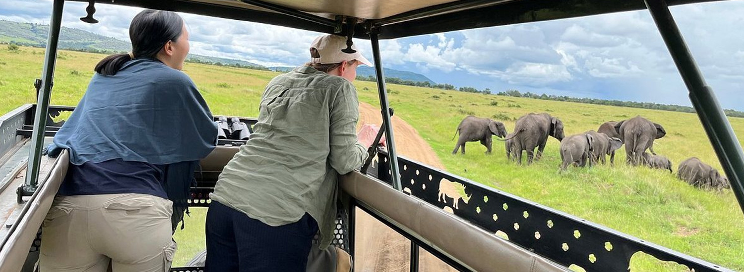 Kenya Safaris and Tours