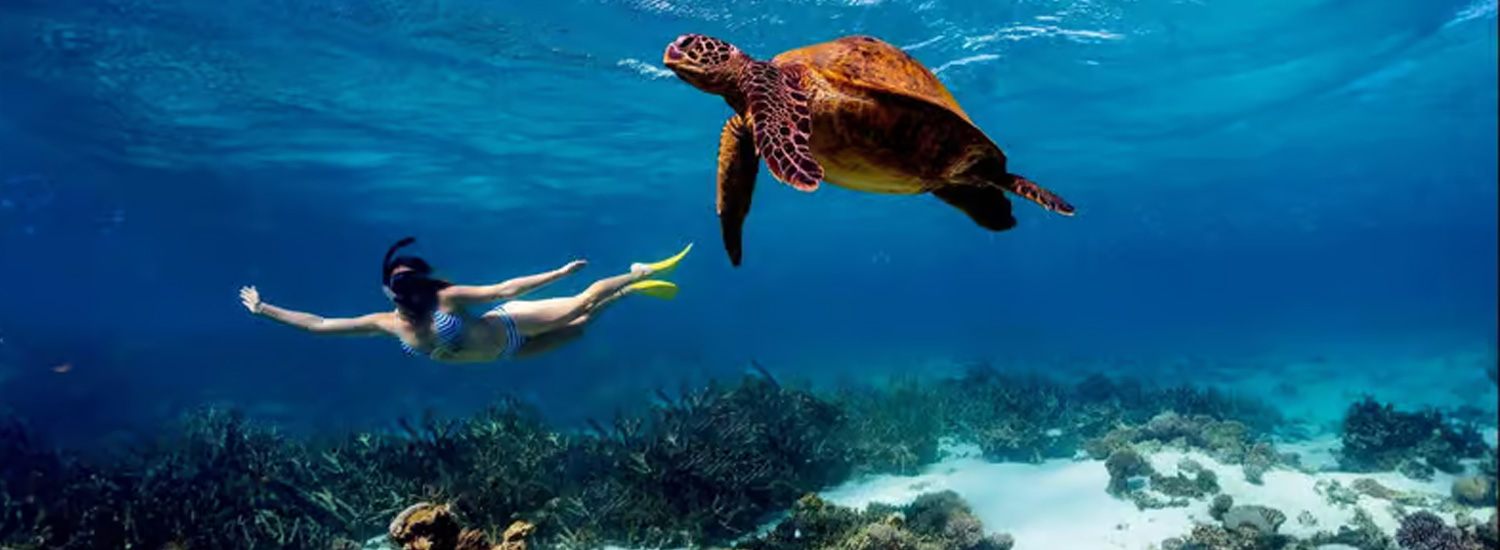 Kisite Mpunguti Marine National Park