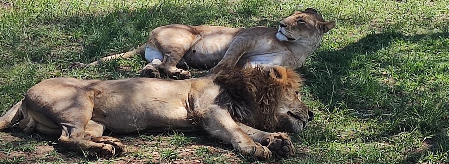 Kora National Park