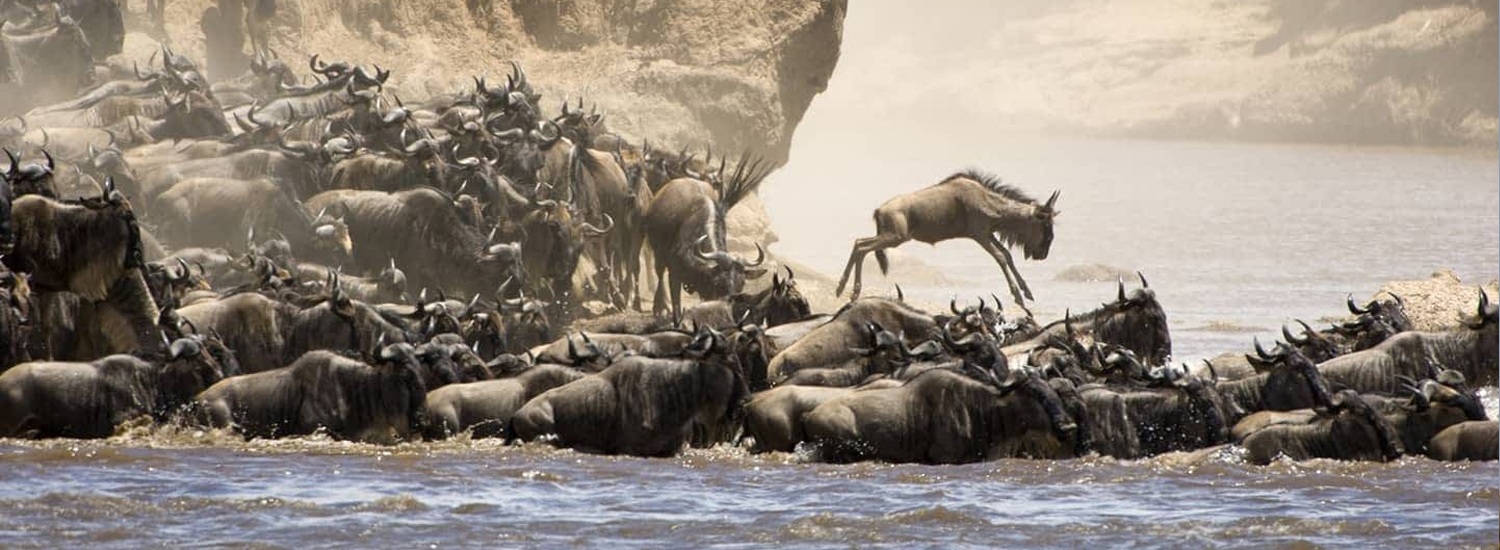 Maasai Mara National Reserve