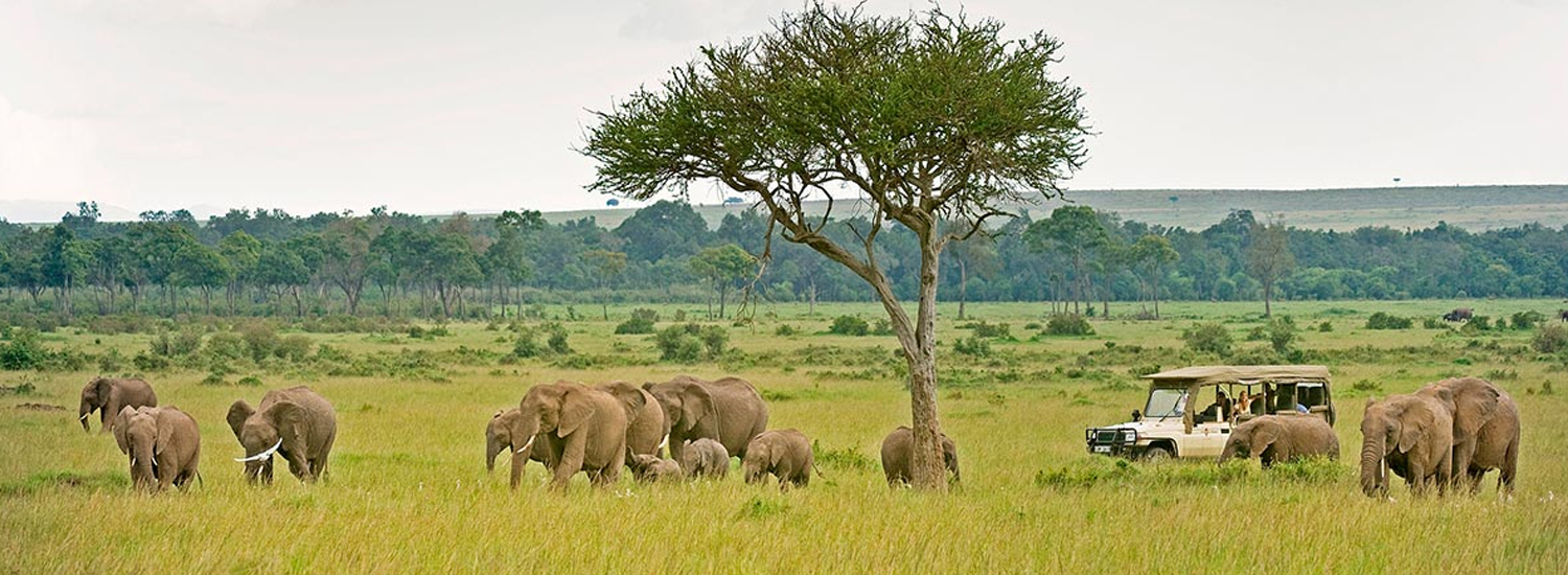 Mount Elgon National Park