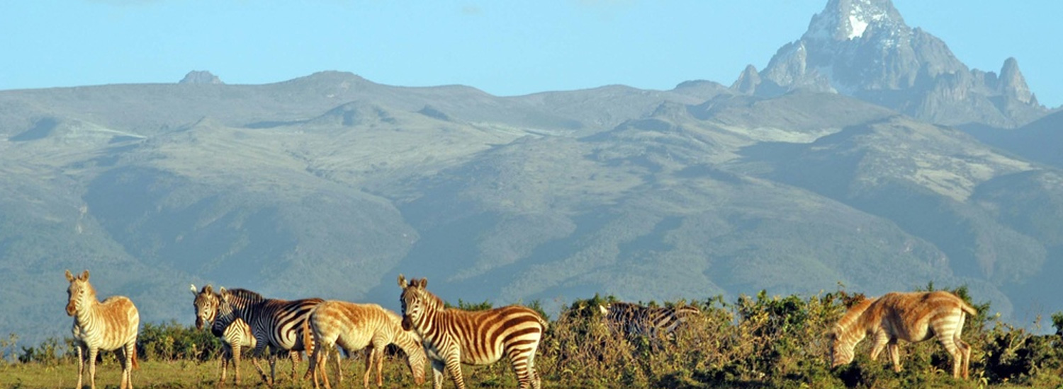 Mount Kenya National Park