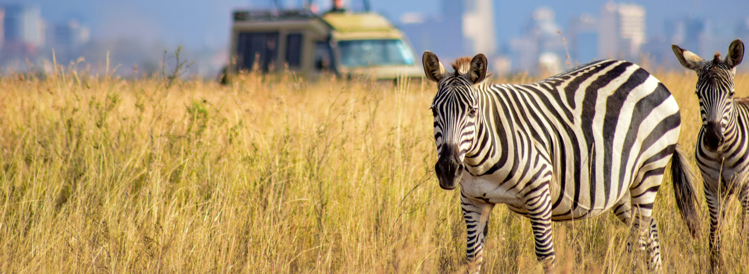 Nairobi National Park