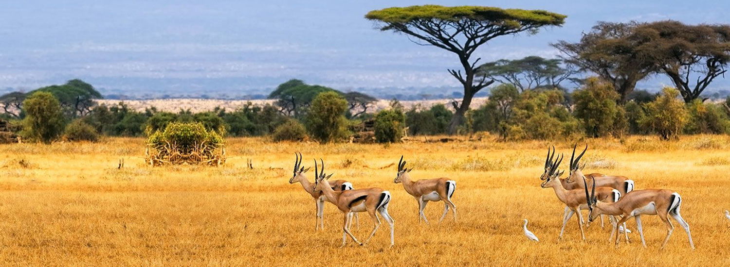 Ruma National Park