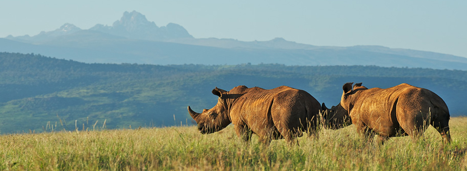 The National Park of Kenya