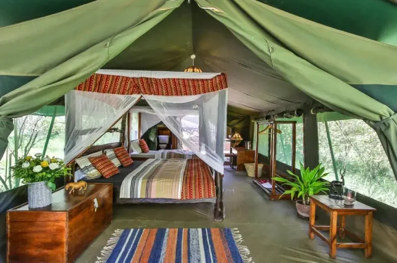 Affordable Migration Camps in Masai Mara for Budget Travelers
